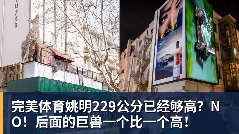 完美体育姚明229公分已经够高?NO!后面的巨兽一个比一个高!